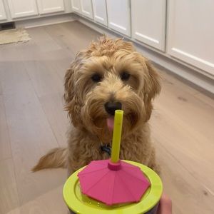 Meet your Posher, Kyla